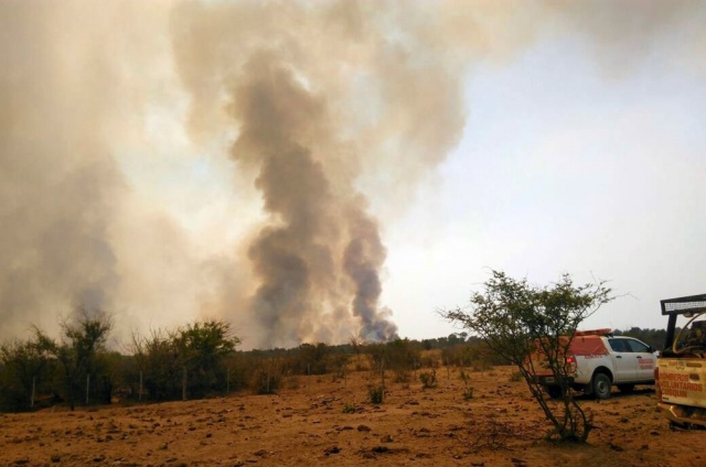 Quisieron hacer un asado en Córdoba y quemaron mil hectáreas Quisieron hacer un asado en Córdoba y quemaron mil hectáreas