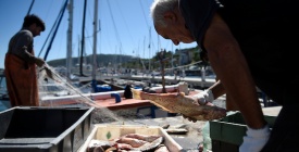Abastecimiento de pescado en el Viernes Santo est asegurado