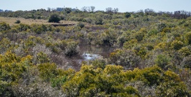 Federacin Rural rechaza construccin de la represa de Casup 