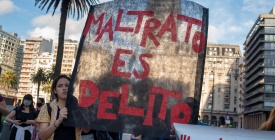 Desde el Instituto de Bienestar Animal reclaman mayor legislacin para la violencia contra los animales