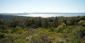 Maldonado: Autoridades advierten por presencia de cianobacterias en Laguna del Sauce