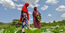 Bruselas destina 63 millones en ayuda humanitaria para Somalia