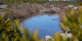 La Federaci�n Rural se opone a la creaci�n de una represa en Casup� porque perjudica la producci�n y el ambiente en la zona