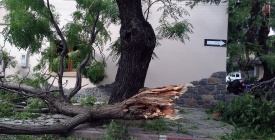 Los Bomberos realizaron 57 intervenciones en distintos departamentos debido a los fuertes vientos