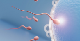 1 al 5 de junio semana de la fertilidad 