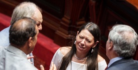 "No tiene nada que ver con juntar fuerzas", dijo senadora del FA por patrullaje de blindados en barrios
