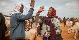 El hambre aumenta tras 20 a�os de avances y afecta de forma grave o alarmante a 44 pa�ses, seg�n el Global Hunger Index