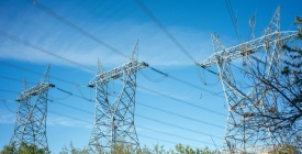 La ministra de Industria, Energ�a y Miner�a sostuvo que la planificaci�n pensada para UTE debe trascender el quinquenio