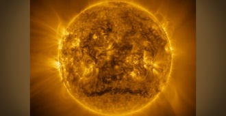 Obtienen la vista ms amplia y en alta resolucin del Sol, obtenida por 'Solar Orbiter'