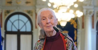Muere a los 91 aos la etloga britnica Jane Goodall