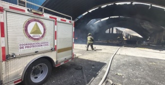 Diez personas fallecieron en un accidente a�reo en el centro de M�xico