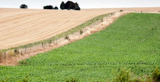 El INIA firm� acuerdos con instituciones chinas para promover investigaciones en cultivos de soja, pastizales y movilidad cient�fica