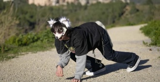 Los Therians  