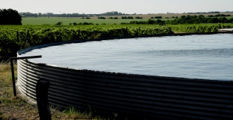 El Gobierno decret� la Emergencia Agropecuaria por d�ficit h�drico en diversas zonas del pa�s por 90 d�as