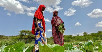 Bruselas destina 63 millones en ayuda humanitaria para Somalia