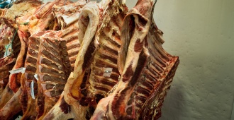 El frigor�fico Casablanca enviar� a m�s de 200 trabajadores al seguro de paro en Paysand� luego de la suspensi�n de la faena