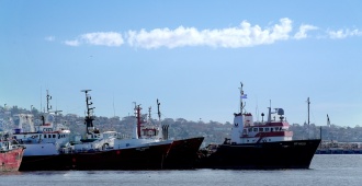 El Gobierno estudia atenuar el incremento del gasoil marino