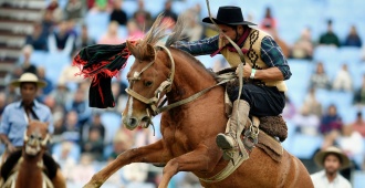 Plataforma Animalista junta firmas para prohibir jineteadas en Montevideo
