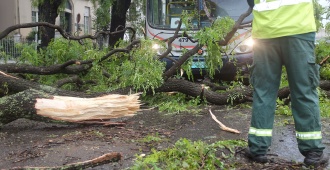 Debido a las afectaciones por los fuertes vientos, la Intendencia de Montevideo realiz� 50 intervenciones