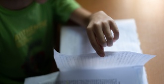 La Red de Centros Interdisciplinarios propone al Gobierno sumar cobertura a 27 mil ni�os con riesgo de desarrollo o aprendizaje