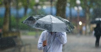 Tormentas el�ctricas y precipitaciones que no generar�n inundaciones pronostic� Luis Zunino para las pr�ximas horas