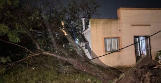La voladura de un techo en Salto cobr� la vida de una mujer que se desplazaba en moto