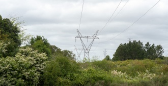 Ute deber�a desembolsar un mill�n y medio de d�lares si instala la planta fotovoltaica en Fray Bentos