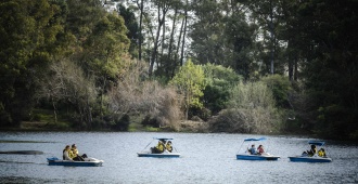 Vecinos del Parque Roosevelt y Fauna Libre Uruguay se movilizaron ante la posibilidad de una tala de �rboles por parte de la Intendencia