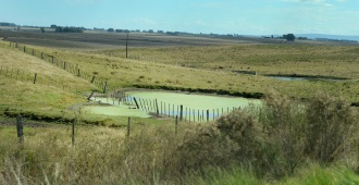 Argentina: contin�a el debate por Ley de Tierras  
