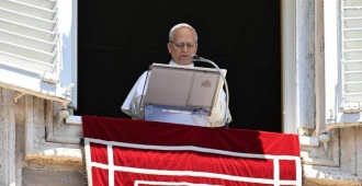 El Papa Le�n XIV rez� el Angelus frente a miles de fieles y se lo vi� con un buen semblante