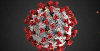 Delgado: Hay casos sospechosos de Coronavirus en varios departamentos 