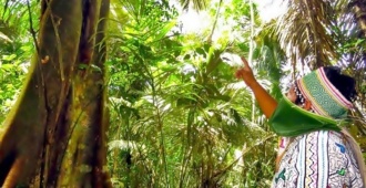 Indígenas lanzan cuenta atrás para proteger el 80 % de la Amazonía para 2025