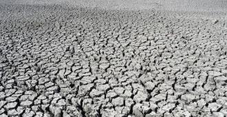Las sequías reducen cada vez más la absorción de CO2 en los trópicos