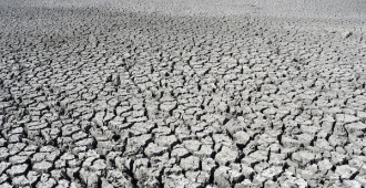 Las sequas reducen cada vez ms la absorcin de CO2 en los trpicos