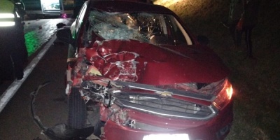 Un joven muri� tras chocar con su moto contra un auto en Maldonado