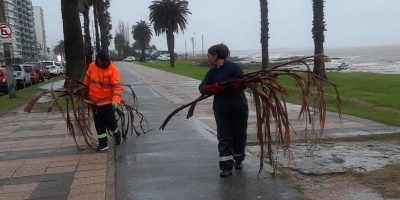 Temporal con tormentas severas en gran parte del pa�s