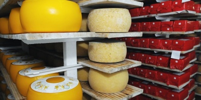 L�cteos uruguayos ingresar�n al mercado de Arabia Saudita