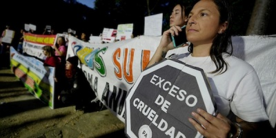 Plataforma Animalista se manifestar� este viernes ante el INBA