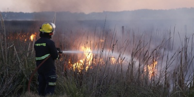 Da�os ambientales y mortandad de animales aut�ctonos es el saldo parcial del incendio forestal ocurrido en la Laguna del Diario de Maldonado