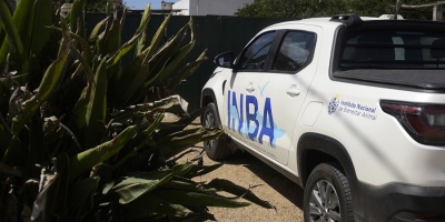 Comienzan a formarse los INBA departamentales para atender de cerca problem�ticas relacionadas con animales