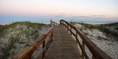 Intendencia de Canelones realiza recomendaciones ante casos de influenza aviar