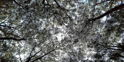 Se esperan mejoras en las condiciones del tempo desde este viernes a la tarde