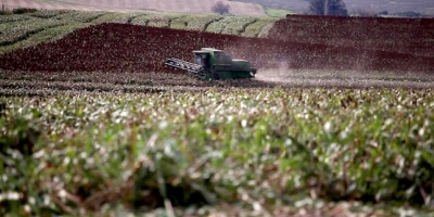 El Gobierno extendi la emergencia agropecuaria hasta fin de ao