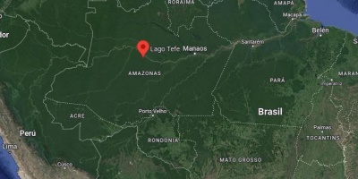 Hallados muertos 110 delfines de r�o en la Amazon�a posiblemente por la ola de calor