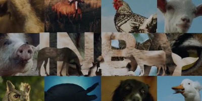 INBA lanz� campa�a de reflexi�n sobre la importancia de la tenencia responsable y el bienestar animal