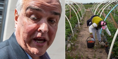 El ex senador Gustavo Penad�s deber� trabajar en la chacra de la c�rcel de Florida donde est� alojado