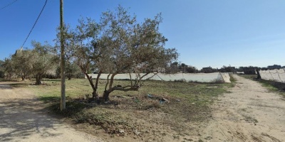 Ascienden a 3.500 los palestinos muertos por los bombardeos ejecutados por Israel contra la Franja de Gaza