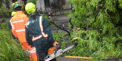 Bomberos recibi� 42 llamadas por el temporal en la zona metropolitana