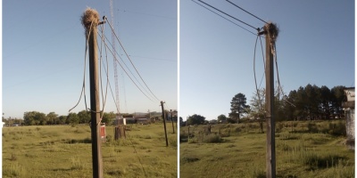 Robo de cables interrumpe emisi�n de radio Zorrilla de San Martin