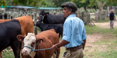 Trabajadores rurales no quedaron conformes con el aumento del 2,5 % para este a�o que tuvo que laudar el Poder Ejecutivo